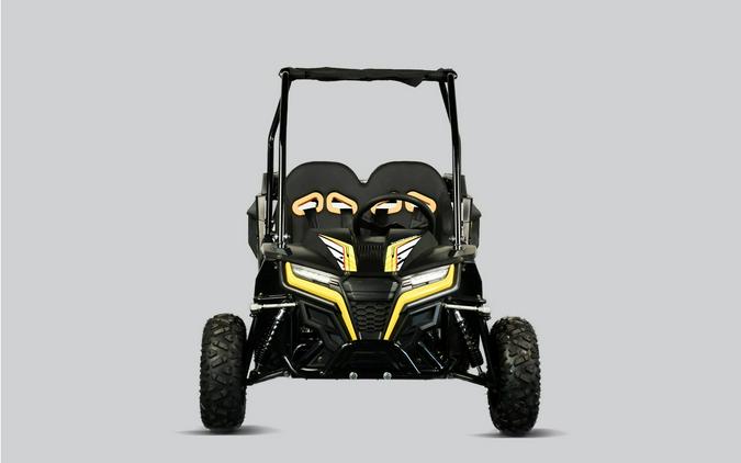 2026 TRAILMASTER POWERSPORTS Cheetah 6