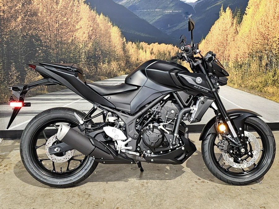 2024 Yamaha MT-03