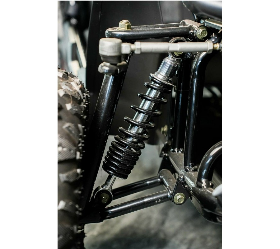 2026 TRAILMASTER POWERSPORTS Cheetah 6