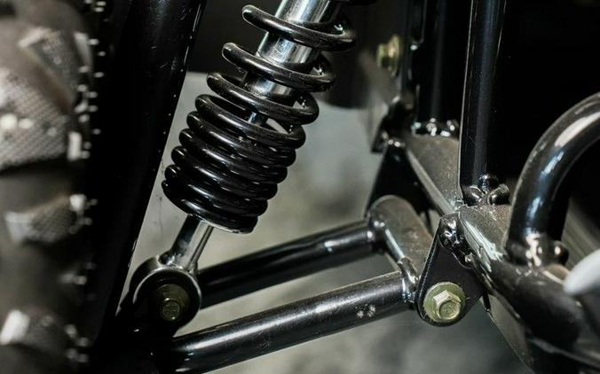 2026 TRAILMASTER POWERSPORTS Cheetah 6