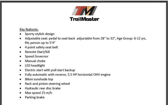 2026 TRAILMASTER POWERSPORTS Cheetah 6