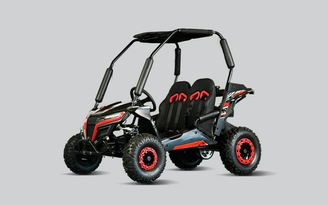 2026 TRAILMASTER POWERSPORTS Cheetah 6