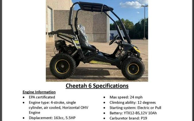 2026 TRAILMASTER POWERSPORTS Cheetah 6