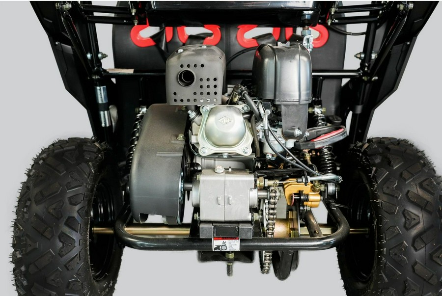 2026 TRAILMASTER POWERSPORTS Cheetah 6