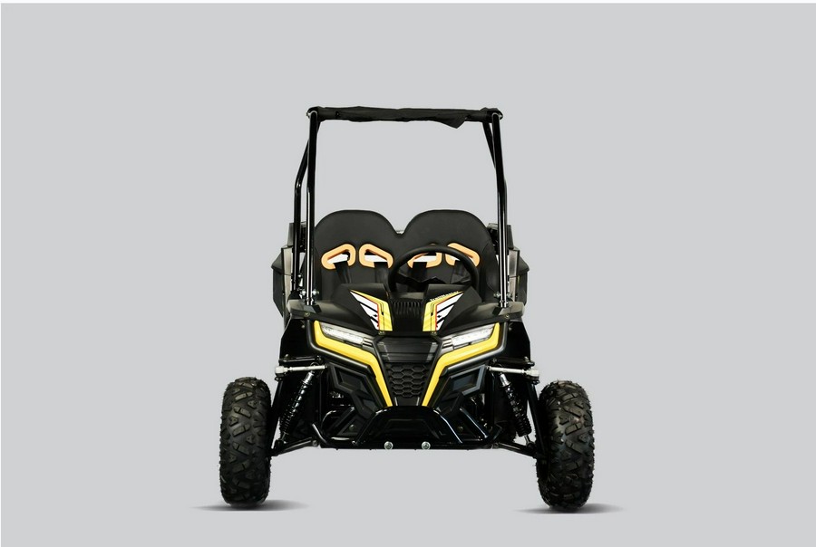 2026 TRAILMASTER POWERSPORTS Cheetah 6