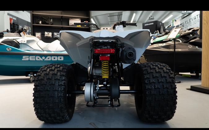 2026 Can-Am Renegade 110 EFI