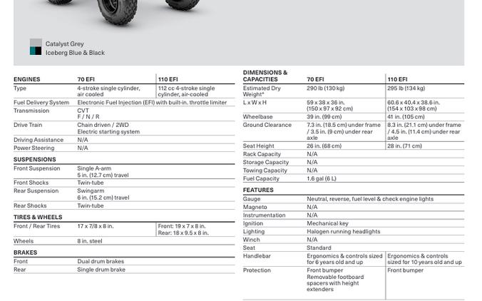 2026 Can-Am Renegade 110 EFI