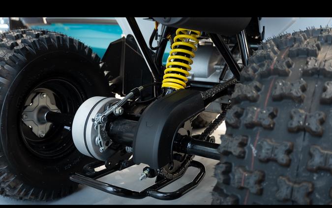 2026 Can-Am Renegade 110 EFI