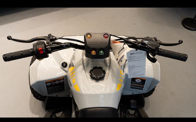 2026 Can-Am Renegade 110 EFI