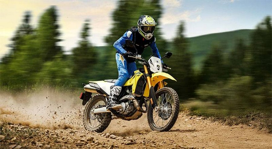2026 Suzuki DR-Z400SM6