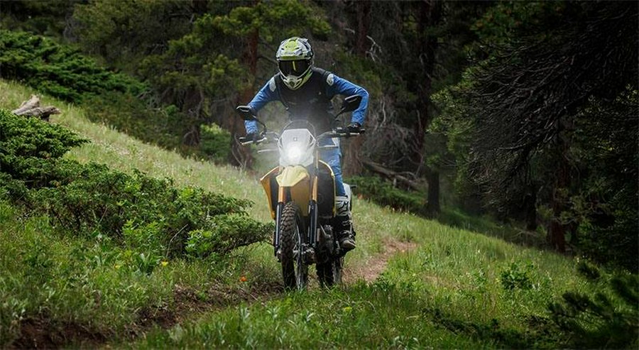 2026 Suzuki DR-Z400SM6