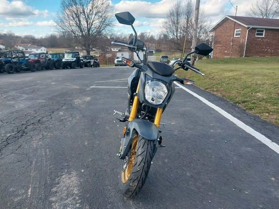 2024 Kawasaki Z125 PRO