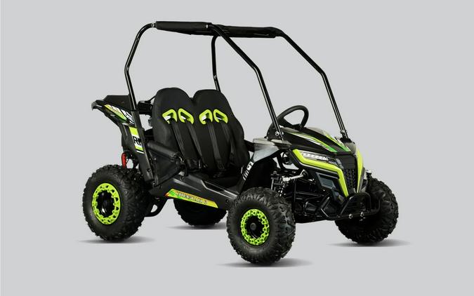 2026 TRAILMASTER POWERSPORTS Cheetah 6