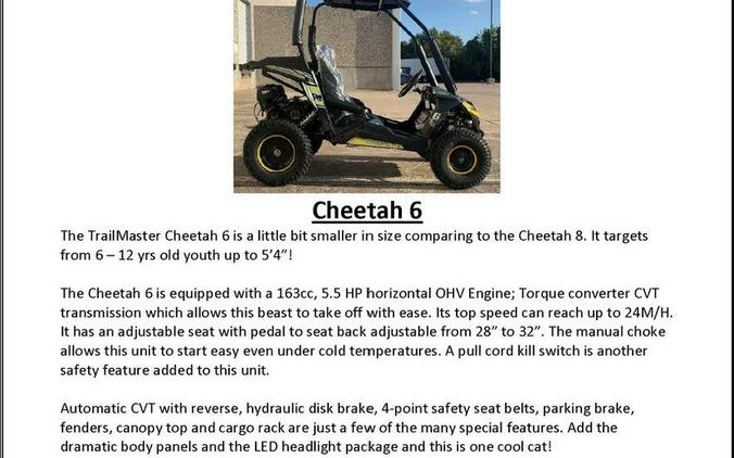 2026 TRAILMASTER POWERSPORTS Cheetah 6