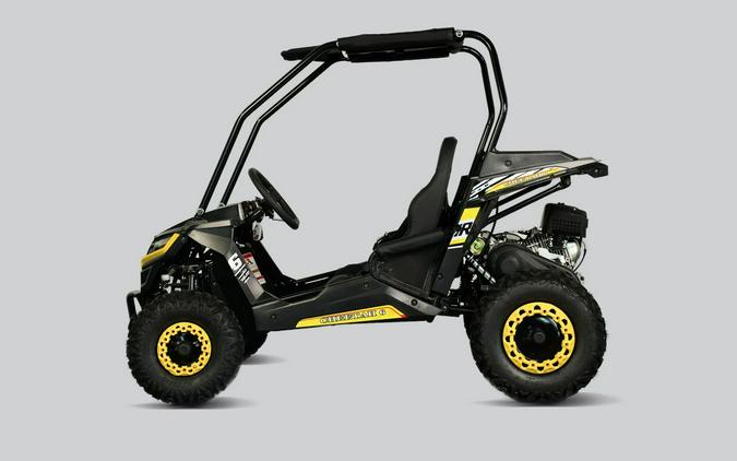 2026 TRAILMASTER POWERSPORTS Cheetah 6