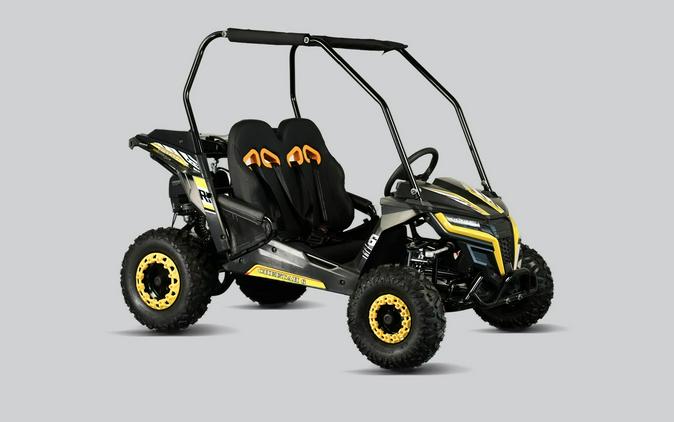 2026 TRAILMASTER POWERSPORTS Cheetah 6