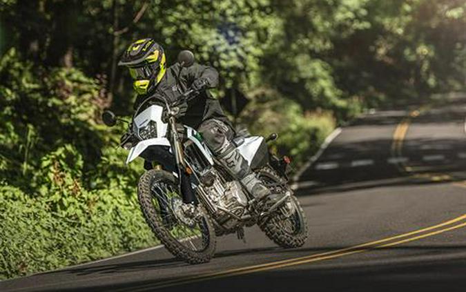 2026 Kawasaki KLX 300