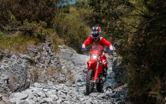 2027 Beta Motorcycles X-Trainer 300 Low Boy