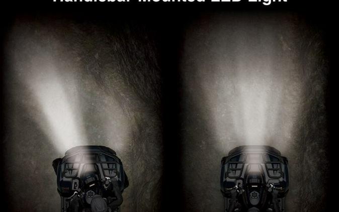 2025 Kawasaki Brute Force 450 4x4