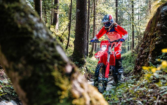 2027 Beta Motorcycles X-Trainer 300