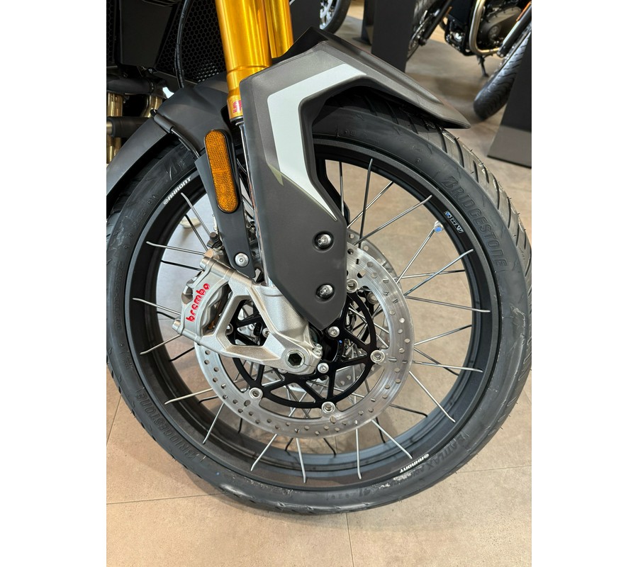 2025 Triumph Tiger 900 Rally Pro