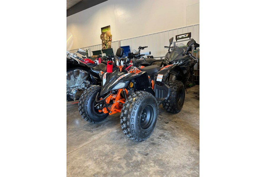 2025 Kayo Predator 125
