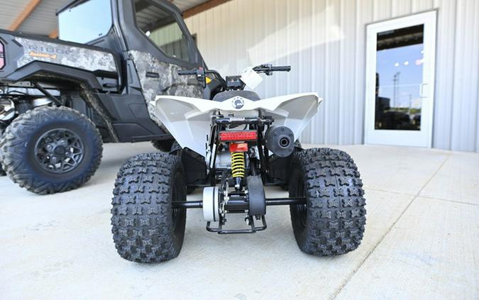 2026 Can-Am Renegade 110 EFI