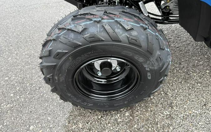 2027 Polaris Sportsman 110 EFI