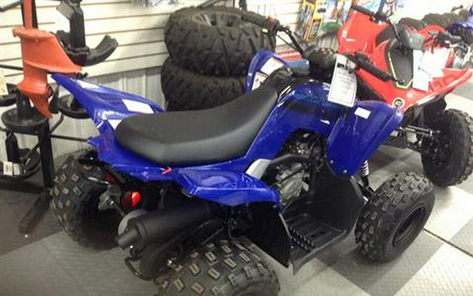 2024 Yamaha Raptor 110