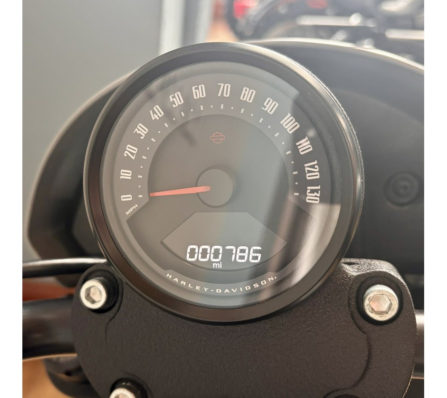 2025 Harley-Davidson Low Rider® S