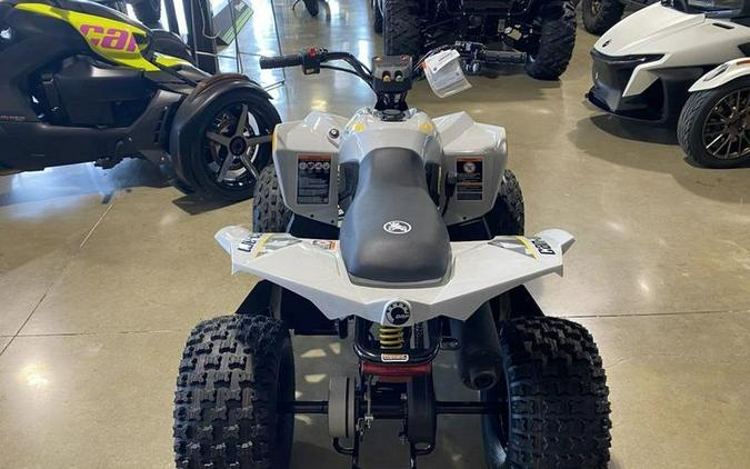 2024 Can-Am® Renegade 110 EFI