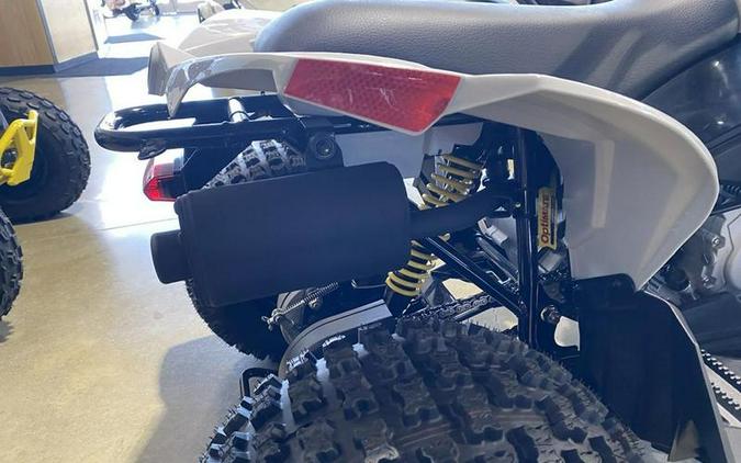 2024 Can-Am® Renegade 110 EFI