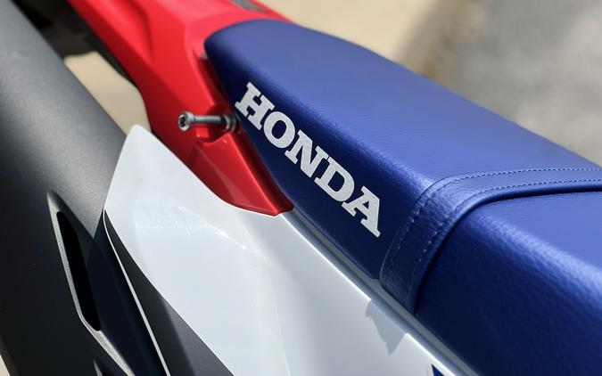 2026 Honda CRF300L Rally ABS