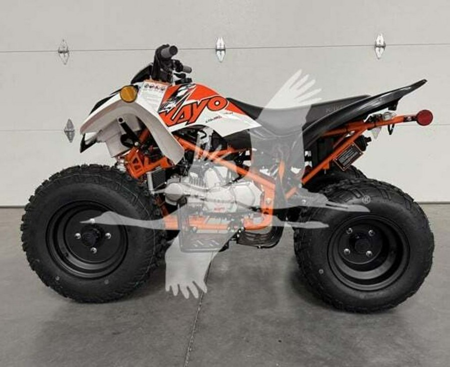 2026 Kayo STORM 150