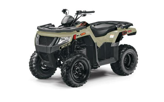 2023 Arctic Cat® Alterra 300