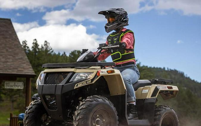 2023 Arctic Cat® Alterra 300