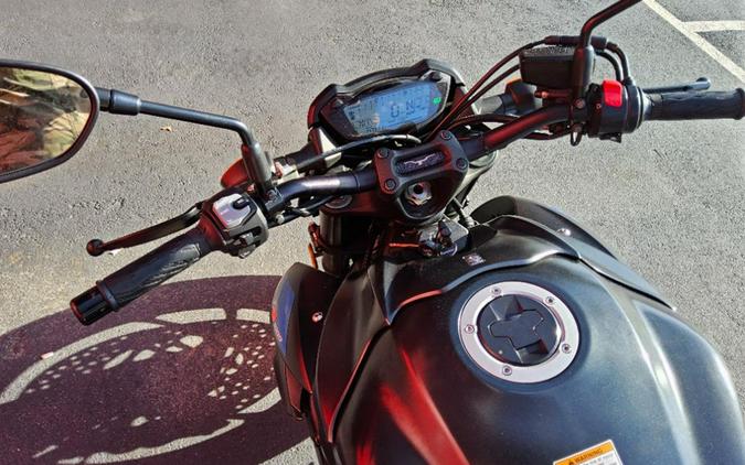 2019 Suzuki GSX-S1000FZ