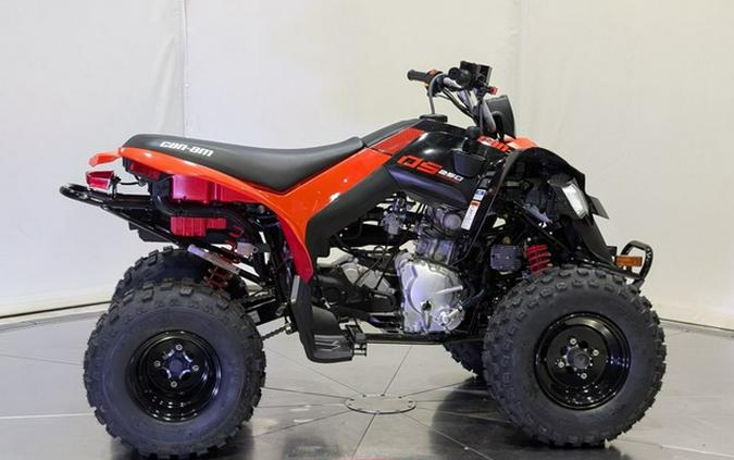 2024 Can-Am DS 250