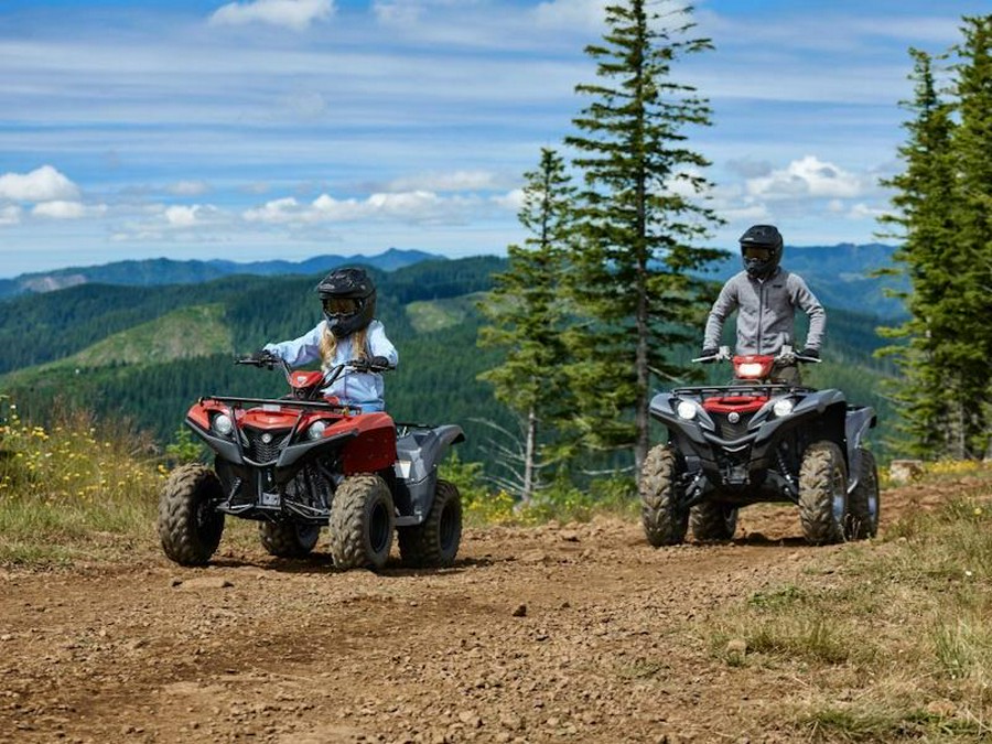 2025 Yamaha Grizzly 110