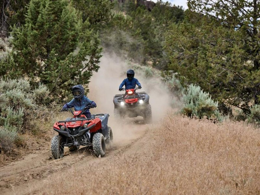 2025 Yamaha Grizzly 110