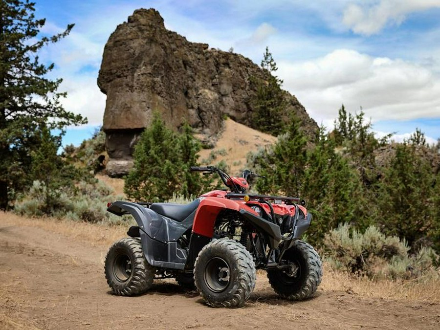 2025 Yamaha Grizzly 110