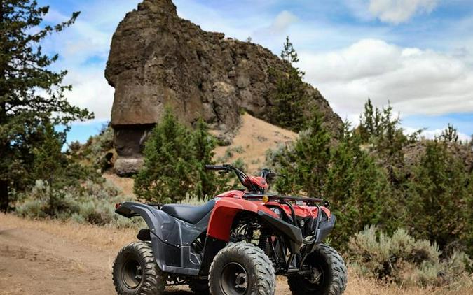 2025 Yamaha Grizzly 110