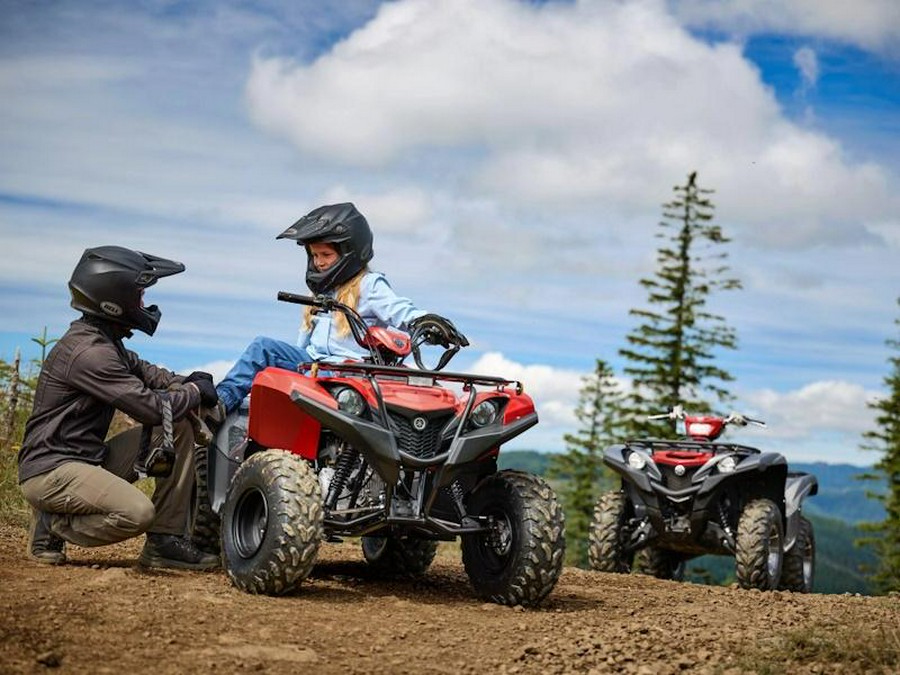 2025 Yamaha Grizzly 110