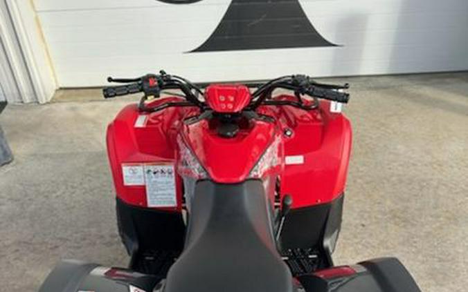 2025 Yamaha Grizzly 110