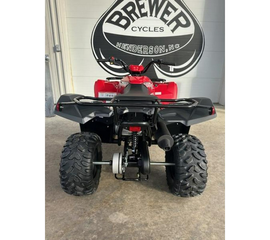 2025 Yamaha Grizzly 110