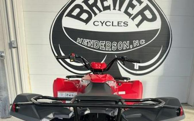 2025 Yamaha Grizzly 110