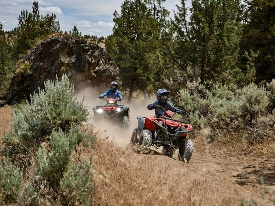 2025 Yamaha Grizzly 110