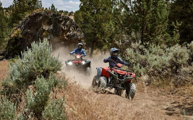 2025 Yamaha Grizzly 110