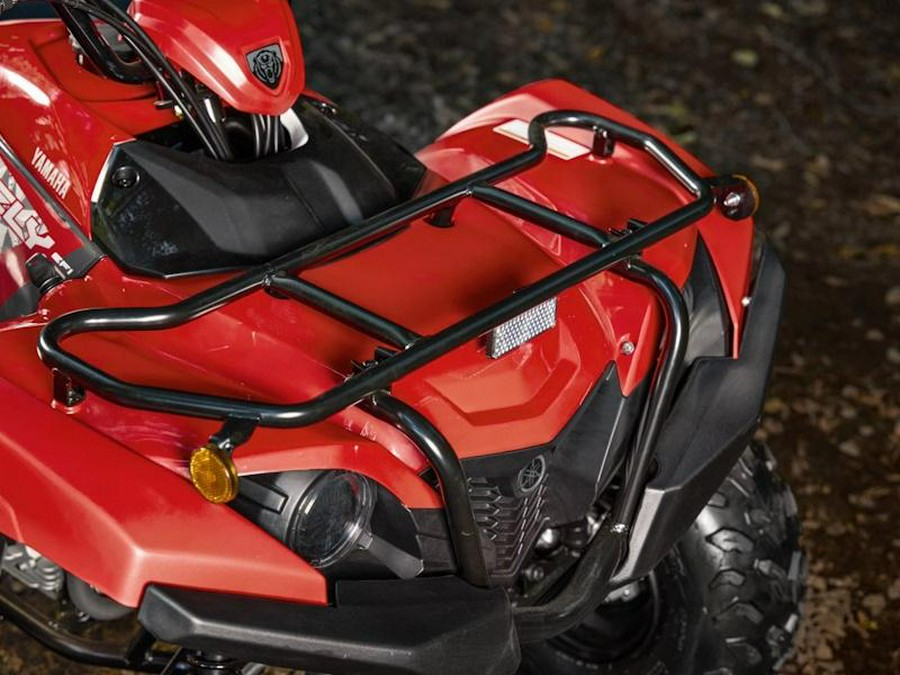 2025 Yamaha Grizzly 110