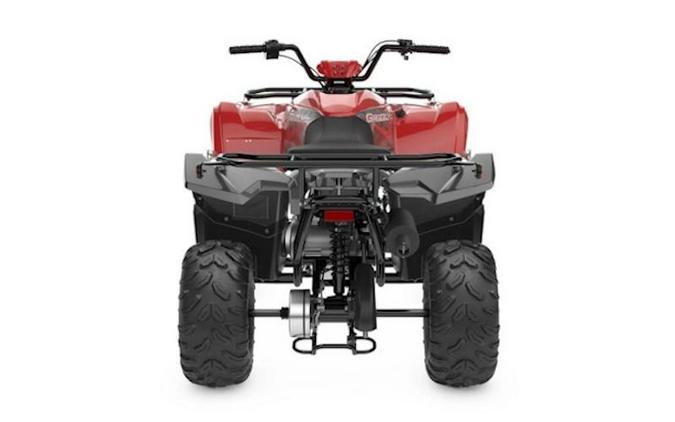 2025 Yamaha Grizzly 110